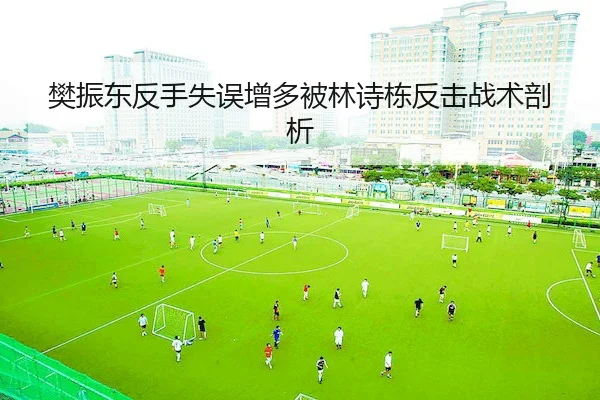樊振东反手失误增多被林诗栋反击战术剖析 - HAOBO